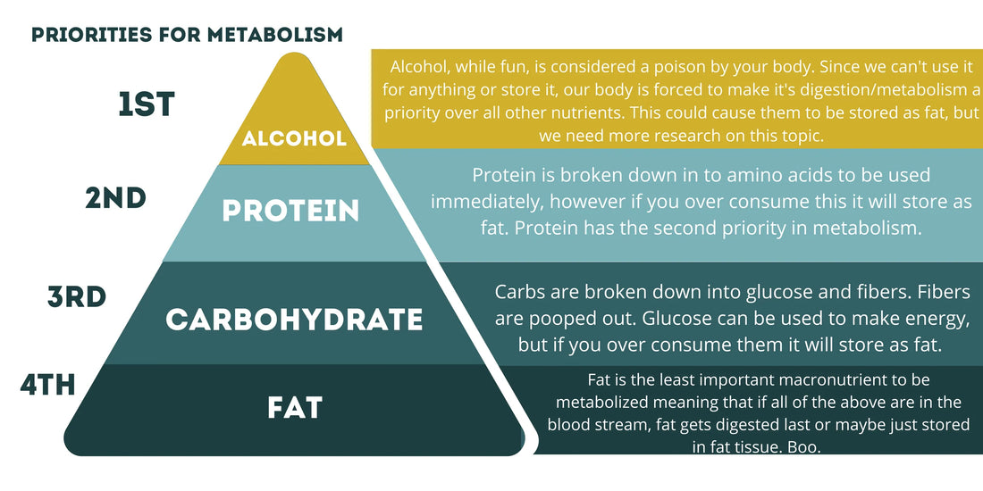 priorities in macro and alcohol metabolism